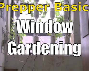 Prepper Basics: Window Gardening