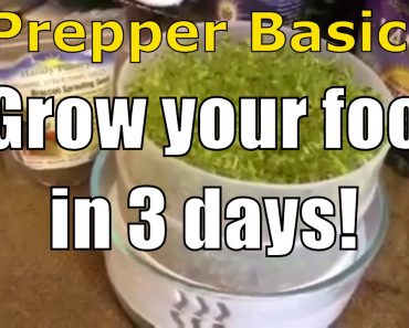 Prepper Basics: Grow Your Food In 3 Days
