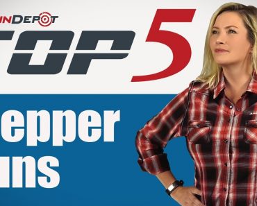 Top 5: Prepper Guns