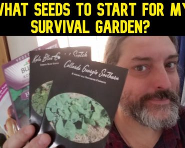 Which Seeds To Choose For Your Emergency Survival Garden? Seed Starting 101 For Beginning Gardeners