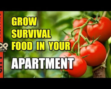 25 Survival Vegetables To Grow In Your Apartment (pt1)