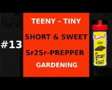 #13 TEENY TINY SHORT & SWEET SR2SR PREPPER- GARDENING STARTS WITH DIGGING IN THE DIRT, BUT WITH WHAT