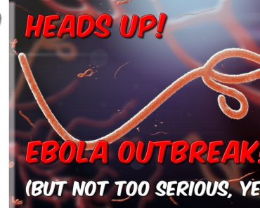 Heads Up! Ebola Outbreak But Not Too Serious, Yet