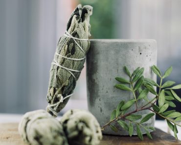 Sage: The benefits of growing it in your garden