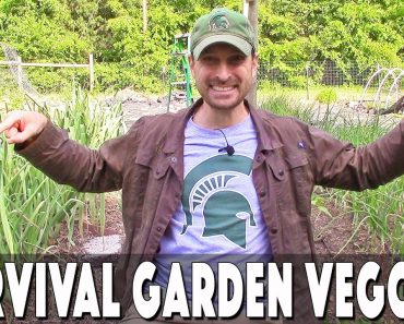 Survival Vegetables For Your Garden That Will Keep You Fed For A Long Time!