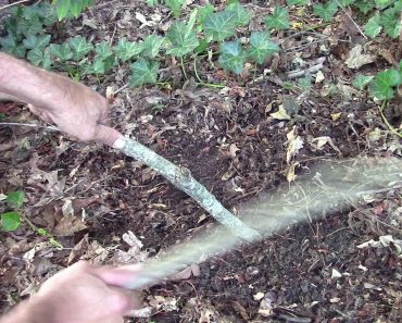 Worm catching without digging, prepper tip