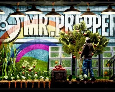 FULL GAME!  How to Start Your Survival – Mr. Prepper / Early Access