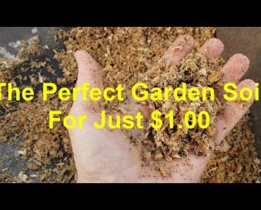The Perfect Garden Soil For $1