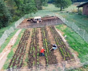 How We Built a 10 Acre Homestead in a Year (from scratch)