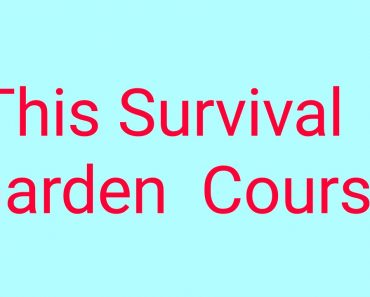This Survival Garden  Course 🔥 #survival #garden #course
