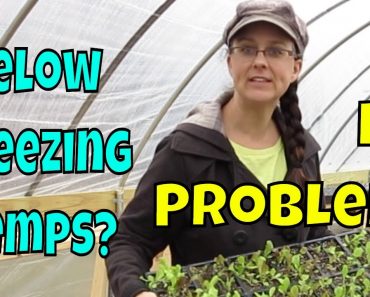 Unheated Greenhouse Troubles.  Our Solution!