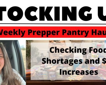 PREPPER PANTRY HAUL | STOCKING UP | PREPS FOR FOOD SHORTAGE AND INFLATION | ALDI, WAL-MART, & $ TREE