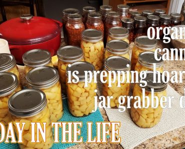 Mrs. Vegan Prepper Day In The Life: Wholesale Produce, Canning, Food Organizing