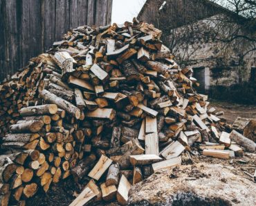 Tips for managing and using firewood for maximum efficiency