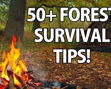 50+ Wilderness Survival Tips!