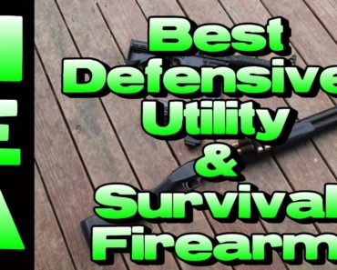 Best Defensive, Utility & Survival Firearm (End of the World Prepper Gun)