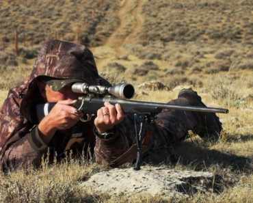 Gun for Bear Hunting | Top 5 Best Guns for Bear Hunting this 2022