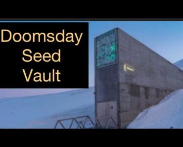 Doomsday Seed Vault And You