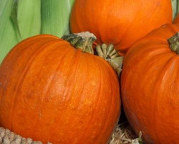 Unique Off-Grid Ways You Can Use A Fresh Pumpkin This Fall