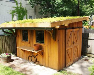 How To Transform Your Garden Shed To Grow Your Own Food