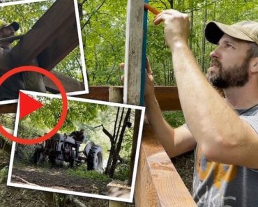 VIDEO: A Quick and Easy Pole Barn for Shelter and Storage
