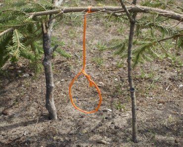 Trapping Part 2: Must Know Skills: Deadfall & Snare