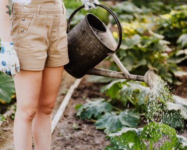 The Best Holistic Plants To Add To Your Garden