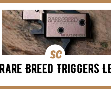 Rare Breed Triggers: Are they Legal?
