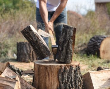 Tips on Survival Woodcutting – Survivopedia
