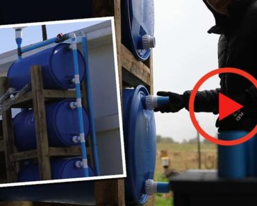 [VIDEO] How to Build a DIY Water Catchment System