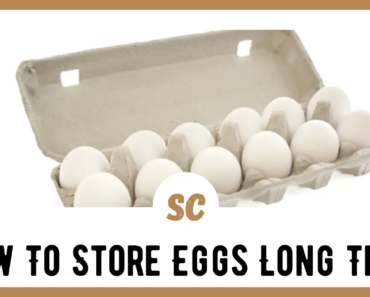 How To Store Eggs Long Term