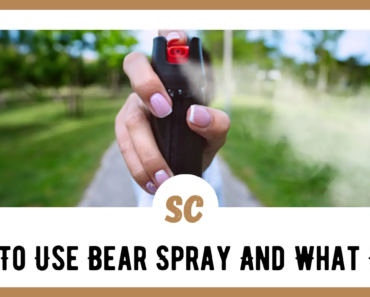 How To Use Bear Spray And What Is It?