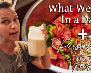 What We Eat In A Day + Preserving Food ~ Survival Kitchen Prepping ~ prepper Instant Pot Meals
