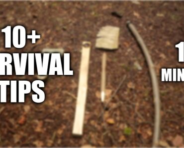 10 Survival Tips in 10 Minutes | QUICK TIPS