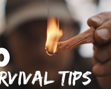 50 Survival Tips – Food | Fire | Shelter | Water – Wilderness knowledge you should know