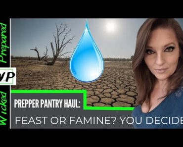 Prepper Pantry Haul | Food Shortages to Famine | Stack it to the rafters while you can afford it!