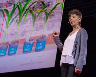 How we can make crops survive without water | Jill Farrant