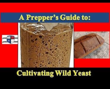 Cultivate Your Own Homemade Wild Yeast EASY [Prepper Food] [2018]