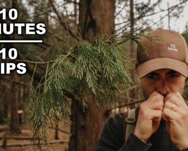 Learn Wilderness Survival Skills in 10 Minutes | Bushcraft Tips
