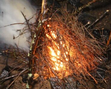 How to build a fire in a RAIN STORM! – Survival tips and hacks. Build a campfire in the rain