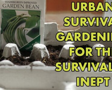 Urban Survival Gardening for the Survivalist Inept