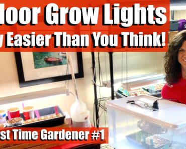 Indoor Grow Lights – Way Easier Than You Think / First Time Gardener #1