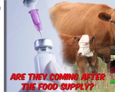 Are They Coming After The Food Supply? w/ Hill Country Prepper