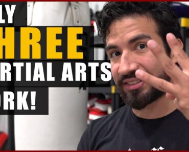 3 Best Martial Arts Styles | No, It’s Not Yours