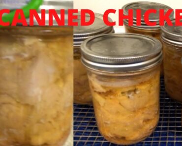 HOW TO PRESSURE CAN RAW CHICKEN / PREPPER 101/ LONG TERM FOOD STORAGE / IT’S BACKUP TIME !