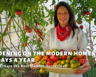 The Modern Homestead Garden Guide – The best survival foods to grow in your Dome greenhouse garden.