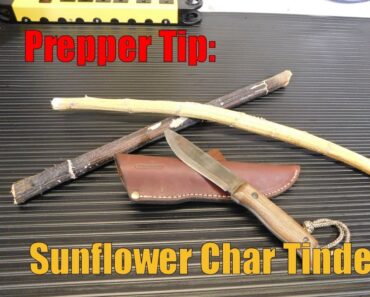 Helpful Prepper Tip: Sunflower Char Tinder!
