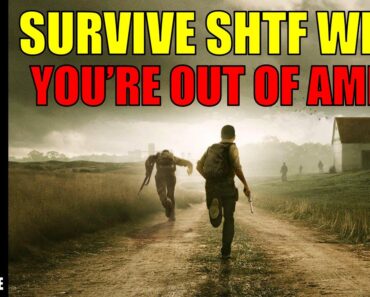 Survival Strategies: Facing SHTF With No Ammo, What Do You Do?