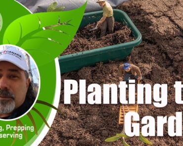 Prepper Dan Vlog5 Planting The Garden