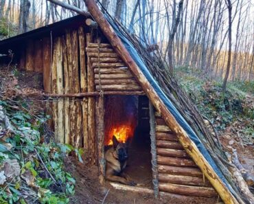 Bushcraft Skills – Build Survival Tiny House – Winter Camping – Off Grid Shelter – Diy – Asmr